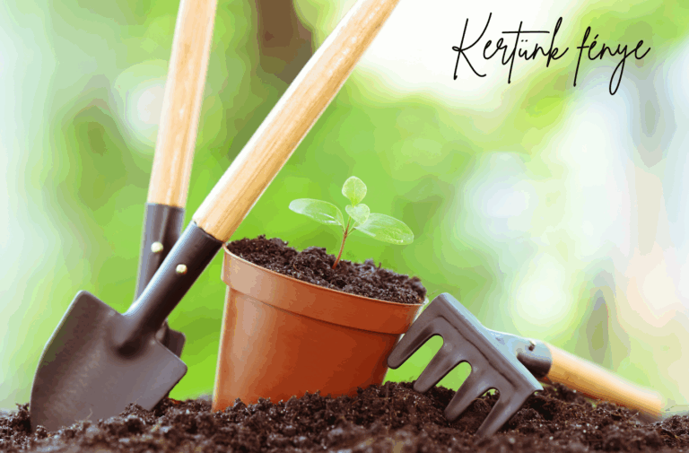 Kerti szerszámok, amik segítenek rendben tartani a kerted – olcsón, okosan